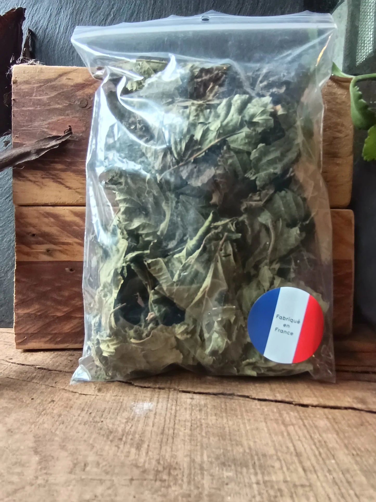 Orties séchées