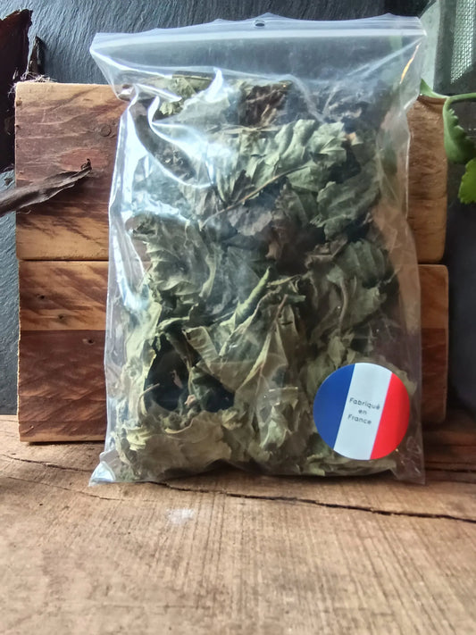 Orties séchées