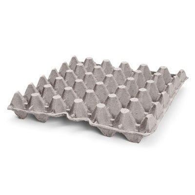 Plaques d'oeufs