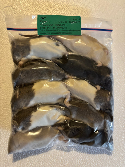 Rats 25/50 X 10