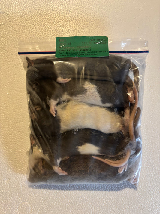 Rats 90/150 X5