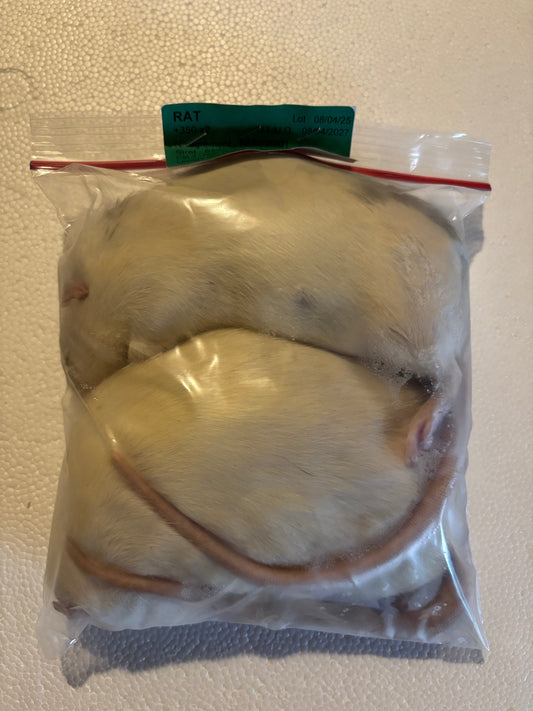 Rats +350 X2