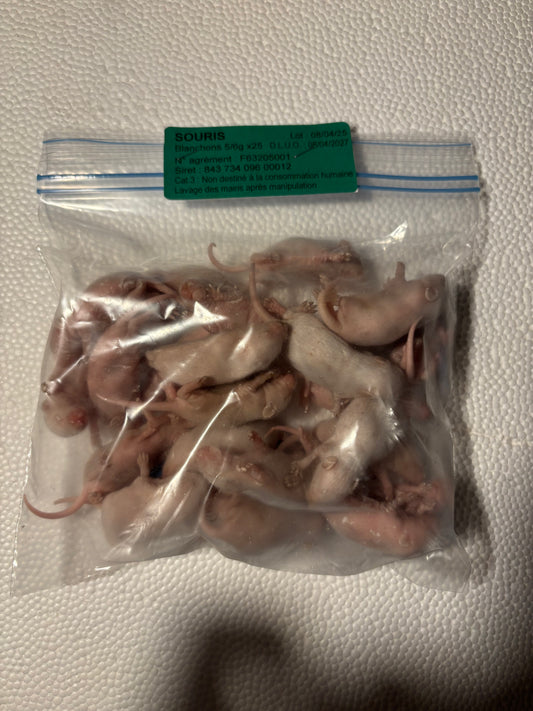 Souris blanchons 5-6g X 25