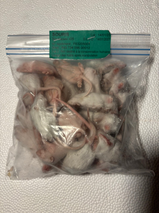 Souris sauteuses 7/10g X25