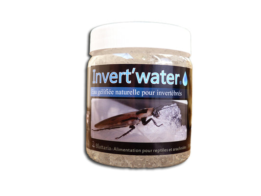 Eau gélifiée 500ml pour insectes